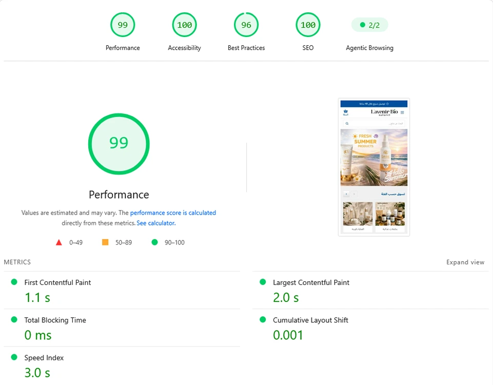 Google PageSpeed result: 99 performance, 100 accessibility, 96 best practices, 100 SEO